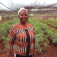 L’objectif du fonds ARAF : construire un écosystème qui permettra aux agriculteurs d’Afrique de l’Est et de l’Ouest d’accroître leurs revenus, d’améliorer leurs conditions de vie et leur résilience au changement climatique.