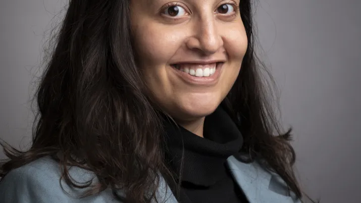 Dina MUKHTAR, Proparco