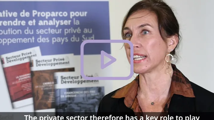 Private Sector & Development 40
