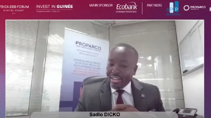 Intervention de Sadio Dicko en webinaire