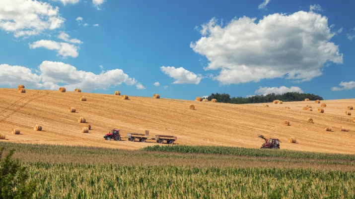 serbia proparco small farmers small businesses