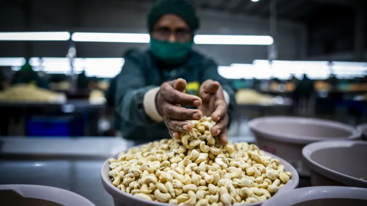 AXA Climate : modéliser les risques climatiques, adapter les cultures