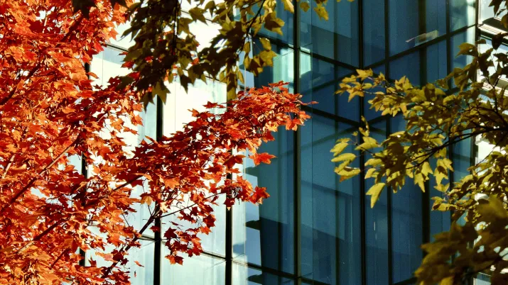 Comment les innovations des pays émergents développent la résilience climatique