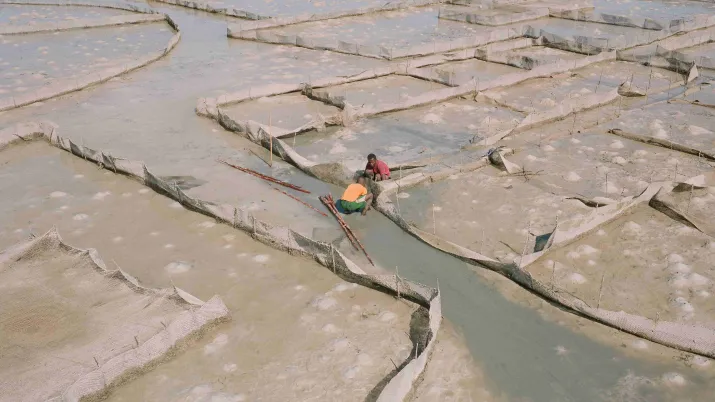 IPAE3-I&P-PROPARCO-2025