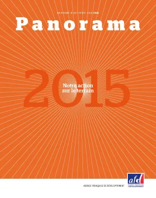 Rapport annuel AFD 2015