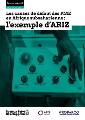 ariz, resume executif