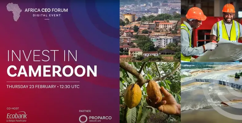 Invest In Cameroun 2023