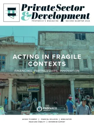 Private Sector & Development 41