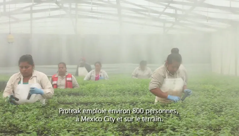 femmes, Proteak, emplois
