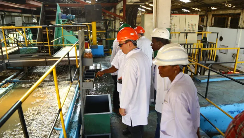 Visite de l'usine de caoutchouc naturel et du process de transformation - Visit to the rubber factory of the UAI of Toupah