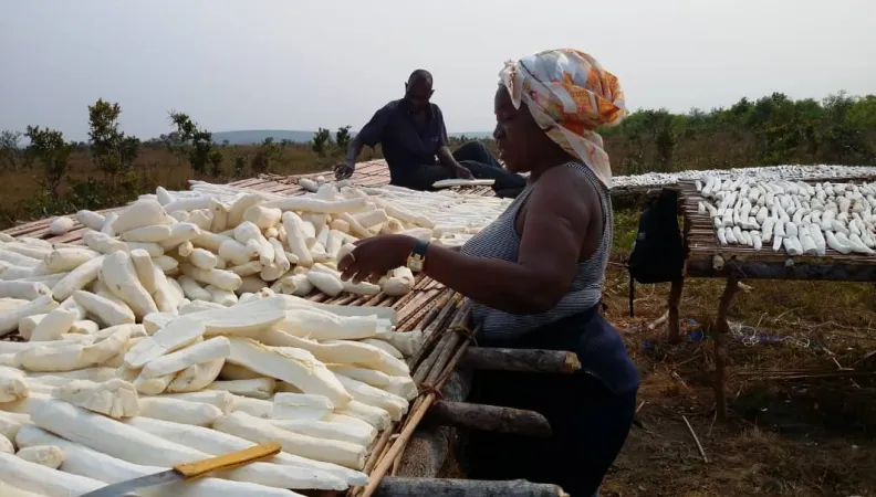 PROJET AT Qualagric (pays fragiles)