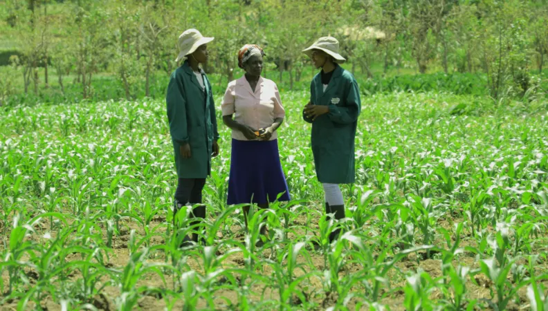 3 people discussing in a field in Kenya