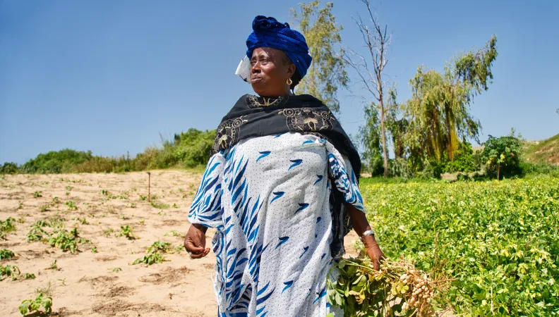 ACEP Sénégal