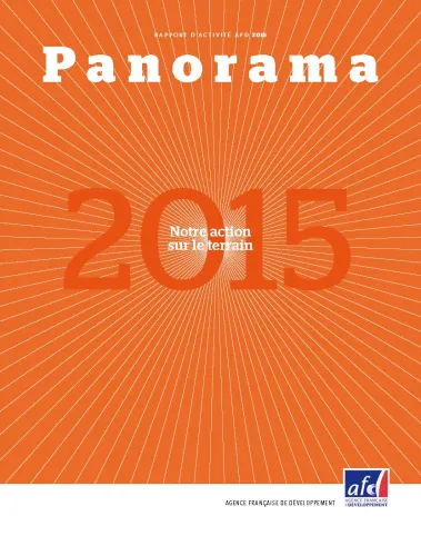 Rapport annuel AFD 2015