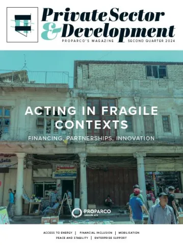 Private Sector & Development 41