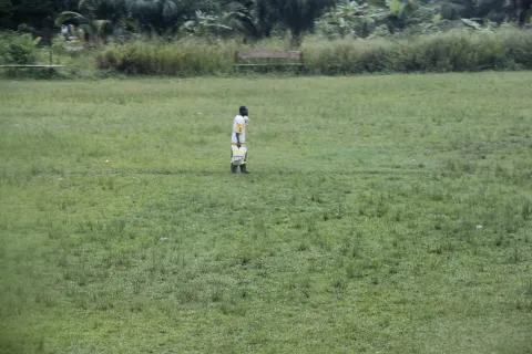 Banco Improsa : un prêt pour soutenir le développement et la modernisation des PME agricoles au Costa Rica