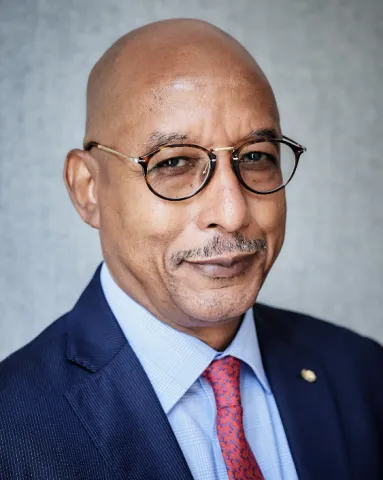 Ibrahim Assane Mayaki